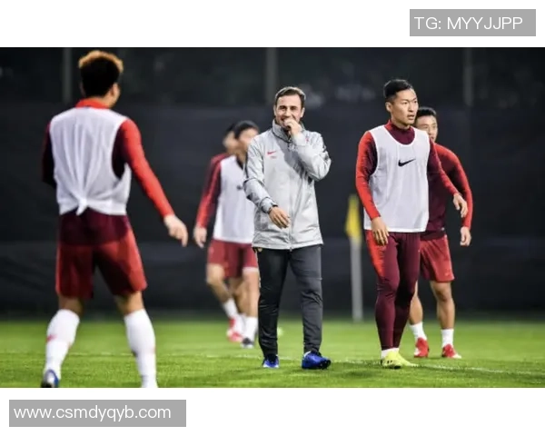 南京足球队灵活性展现全场精彩表现引发球迷热议